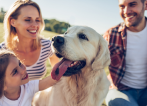 mom, dad, and daughter with their golden retriever
